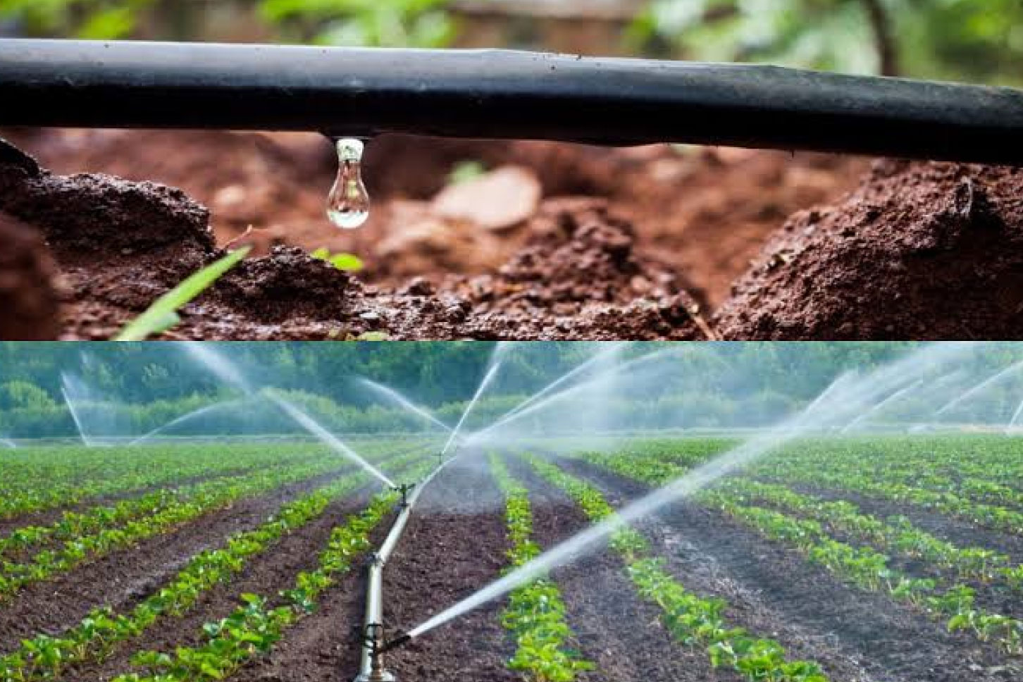 Irrigation Installation